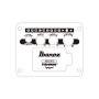 Гітара електроакустична IBANEZ AEWC621 BOT