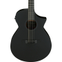 Гітара електроакустична IBANEZ AEWC621 BOT