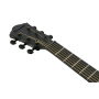 Гітара електроакустична IBANEZ AEWC621 BOT