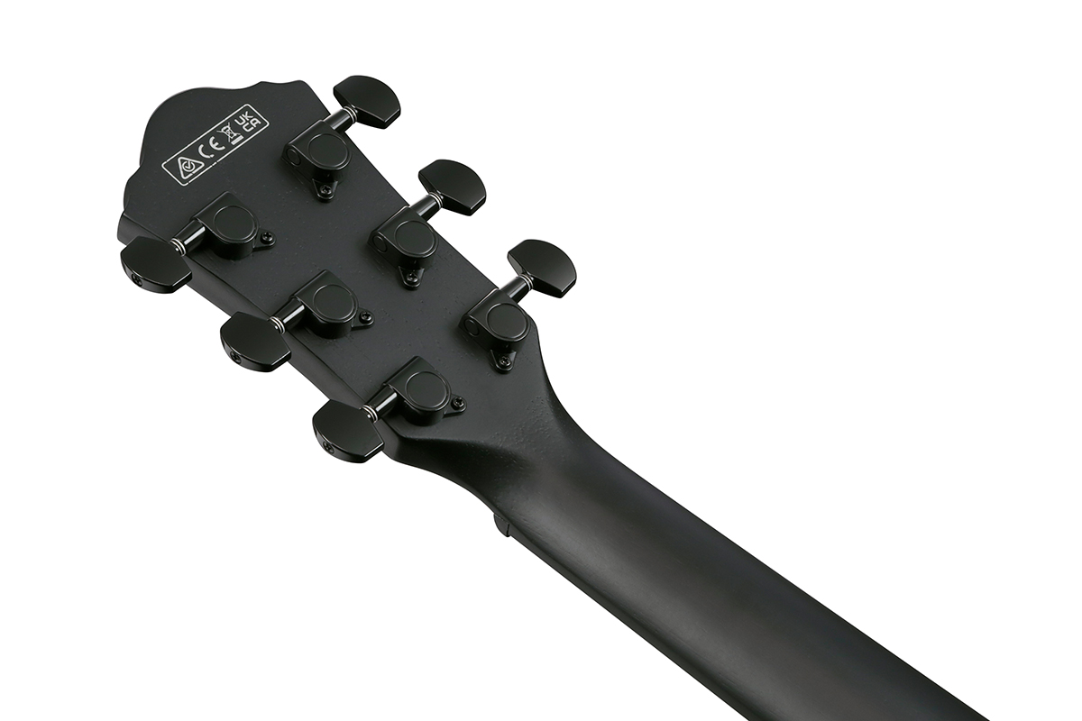 Гітара електроакустична IBANEZ AEWC621 BOT