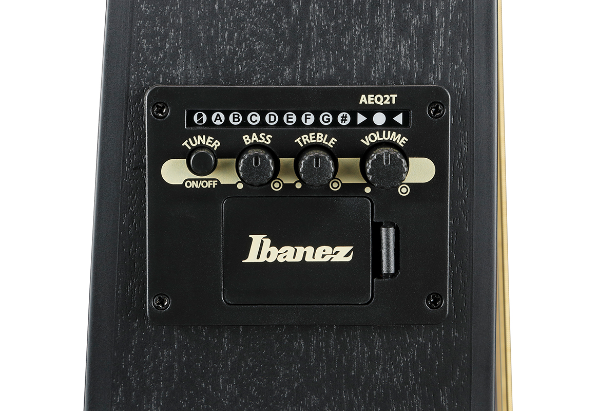 Гитара электроакустическая IBANEZ TCY621-BOT