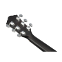 Гитарный набор с акустической гитарой IBANEZ V54NJP WK