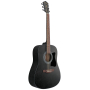 Гитарный набор с акустической гитарой IBANEZ V54NJP WK
