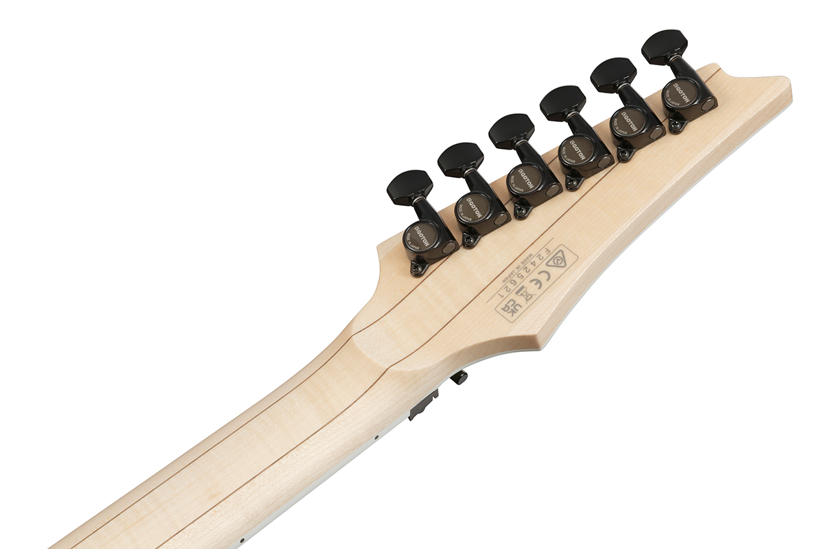 Електрогітара IBANEZ RG565R DY
