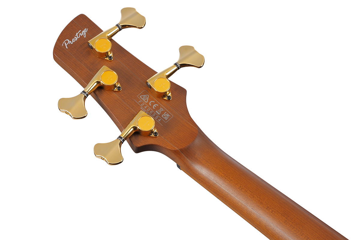 Бас-гітара IBANEZ SR4500-DST