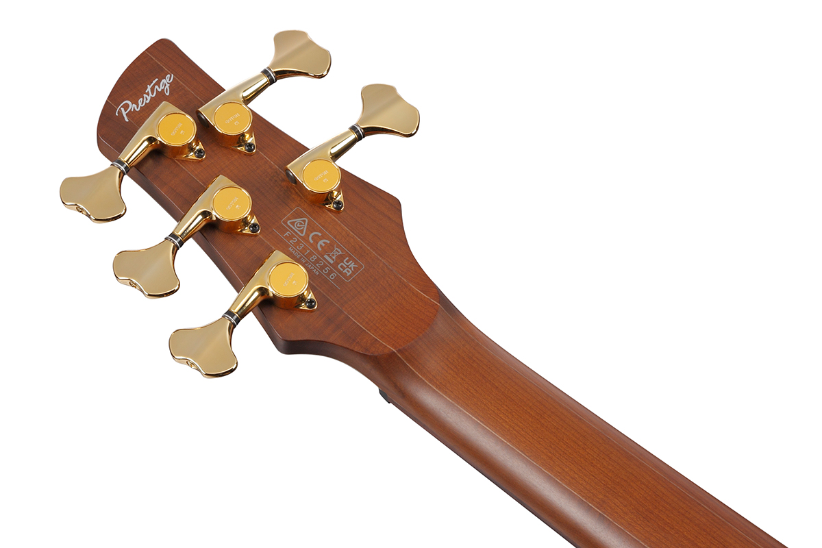Бас-гітара IBANEZ SR3505-BK