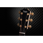 Гітара електроакустична TAYLOR GUITARS 217e-SB Plus LTD 50TH ANNIVERSARY SUNBURST