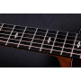 Гітара електроакустична TAYLOR GUITARS 217e-SB Plus LTD 50TH ANNIVERSARY SUNBURST