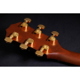 Гітара електроакустична TAYLOR GUITARS 314ce LTD 50TH ANNIVERSARY SHADED EDGE BURST