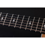 Гітара електроакустична TAYLOR GUITARS 314ce LTD 50TH ANNIVERSARY SHADED EDGE BURST
