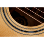 Гітара електроакустична TAYLOR GUITARS 314ce LTD 50TH ANNIVERSARY SHADED EDGE BURST