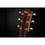 Гітара електроакустична TAYLOR GUITARS AD14ce-SB LTD 50TH ANNIVERSARY SUNBURST