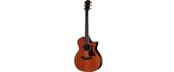 Гітара електроакустична TAYLOR GUITARS 814ce LTD BUILDER'S EDITION 50TH ANNIVERSARY