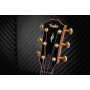 Гітара електроакустична TAYLOR GUITARS 814ce LTD BUILDER'S EDITION 50TH ANNIVERSARY