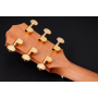 Гітара електроакустична TAYLOR GUITARS GS MIN-e ROSEWOOD LTD 50TH ANNIVERSARY SUNBURST