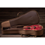 Гітара електроакустична TAYLOR GUITARS GS MIN-e SPECIAL EDITION YEAR OF DRAGON