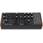 Синтезатор MOOG LABYRINTH