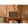 Гитарный комбоусилитель BLACKSTAR ACOUSTIC:CORE 30