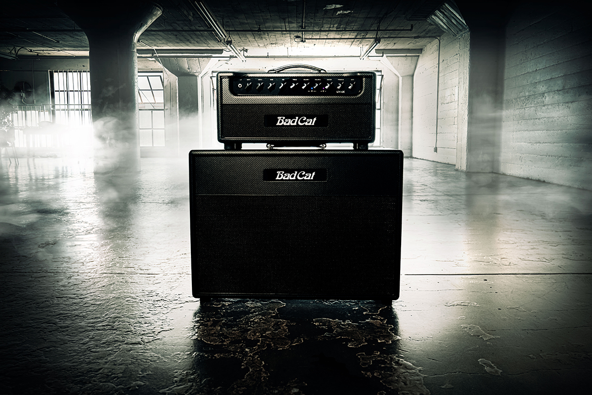 Гітарний кабінет BAD CAT LYNX 2X12 EXTENSION CABINET