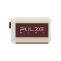 Гитарный комбоусилитель HOTONE AUDIO PULZE MINI