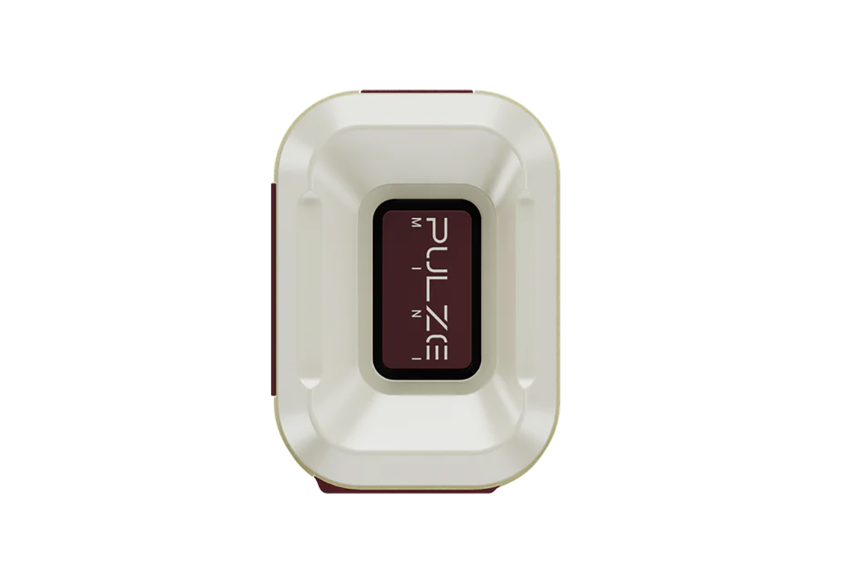 Гитарный комбоусилитель HOTONE AUDIO PULZE MINI