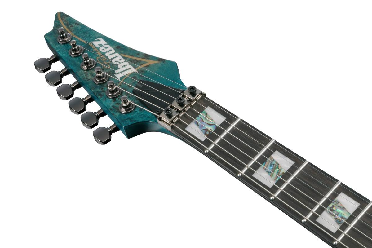 Електрогітара IBANEZ RGT1220PBK-COL
