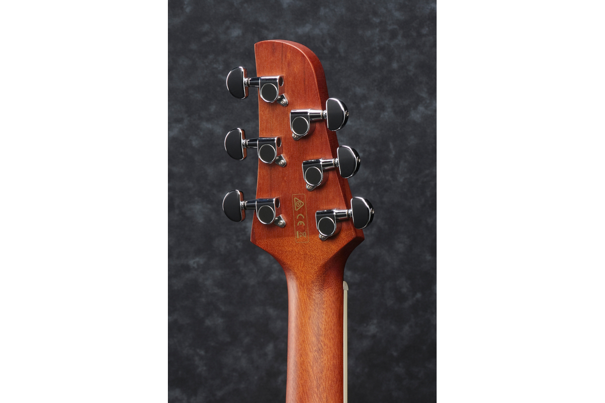 Гитара электроакустическая IBANEZ TCY12E-OPN