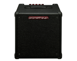 Гитарный комбоусилитель IBANEZ P20-U