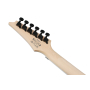 Электрогитара IBANEZ RG450QMB-TGB