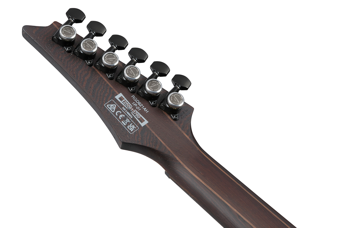Электрогитара IBANEZ RGD621AH-MNF