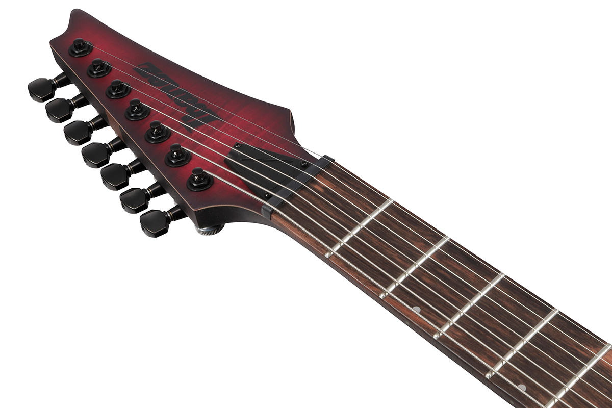 Електрогітара IBANEZ RGD721FA-WUF