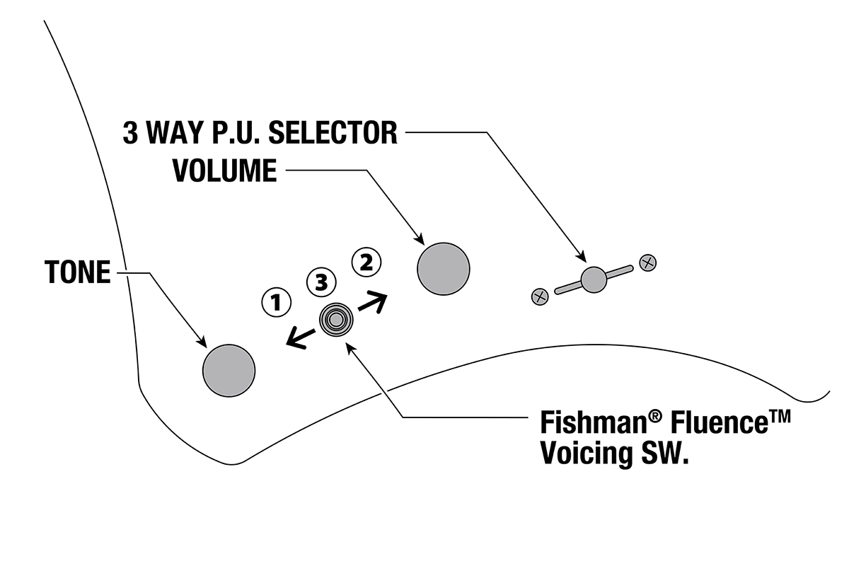 Електрогітара IBANEZ A528-IPT