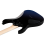 Електрогітара IBANEZ RG421DX-TWS