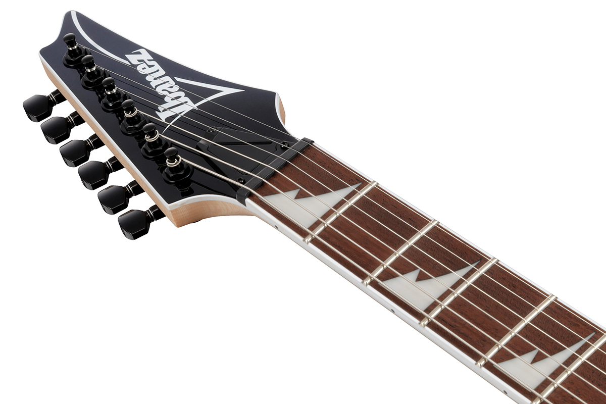 Електрогітара IBANEZ RG421DX-TWS