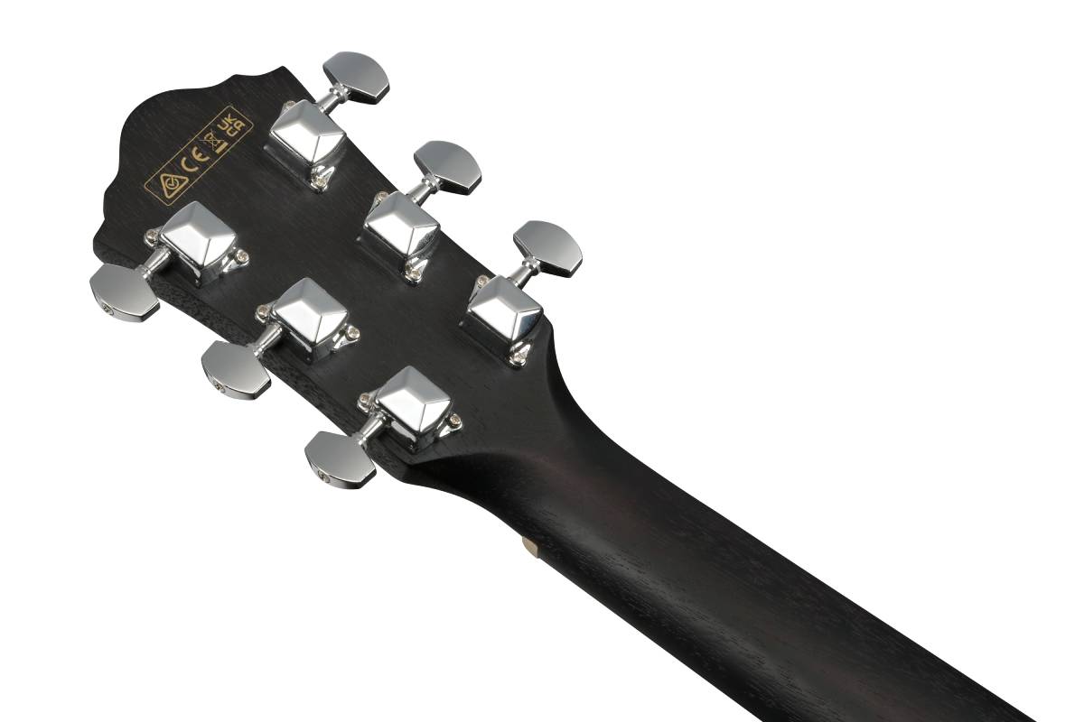 Гітара електроакустична IBANEZ VC44CE-WK