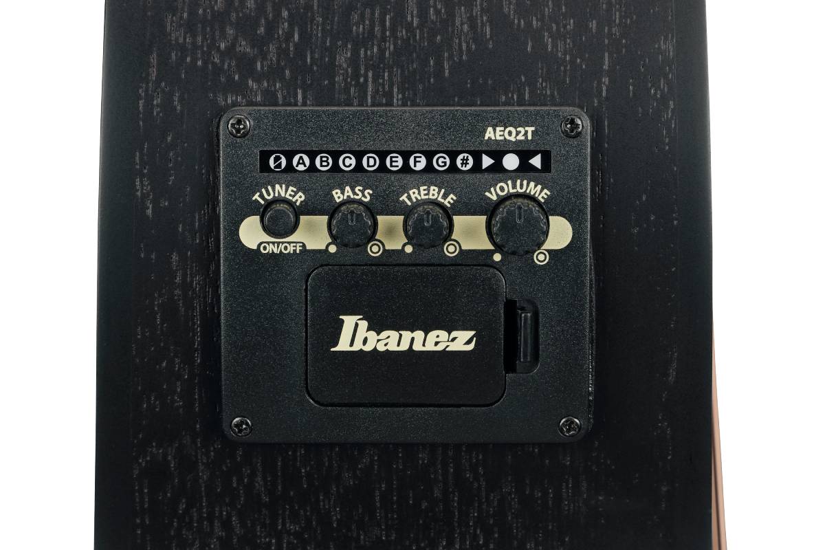 Гітара електроакустична IBANEZ VC44CE-WK