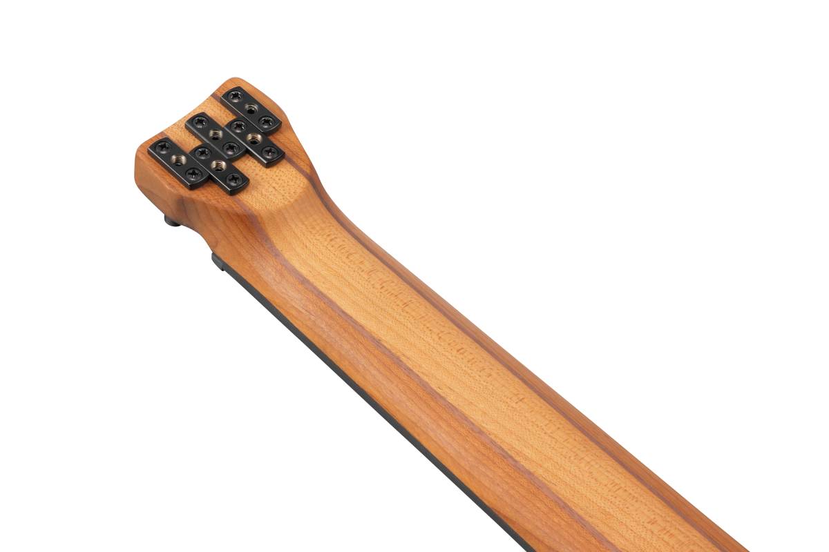 Бас-гітара IBANEZ EHB1005F-AOM