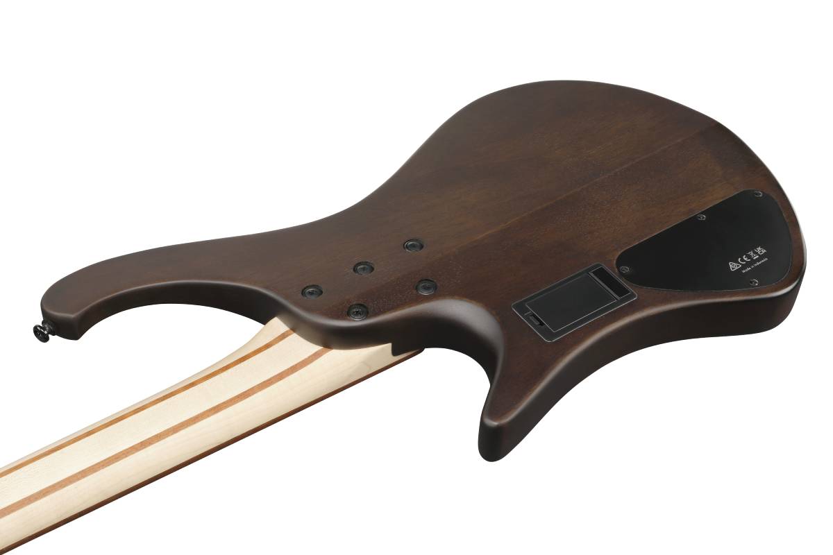 Бас-гітара IBANEZ EHB600-WNF