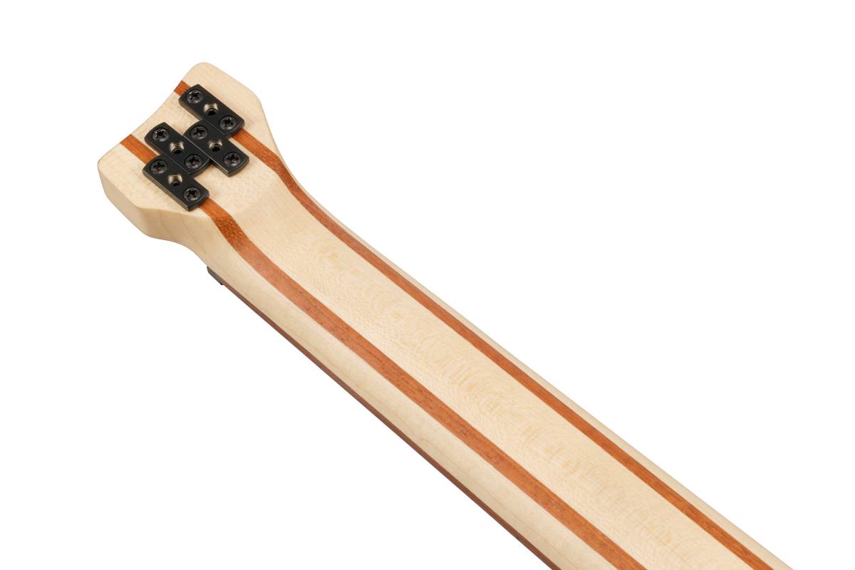 Бас-гітара IBANEZ EHB600-WNF