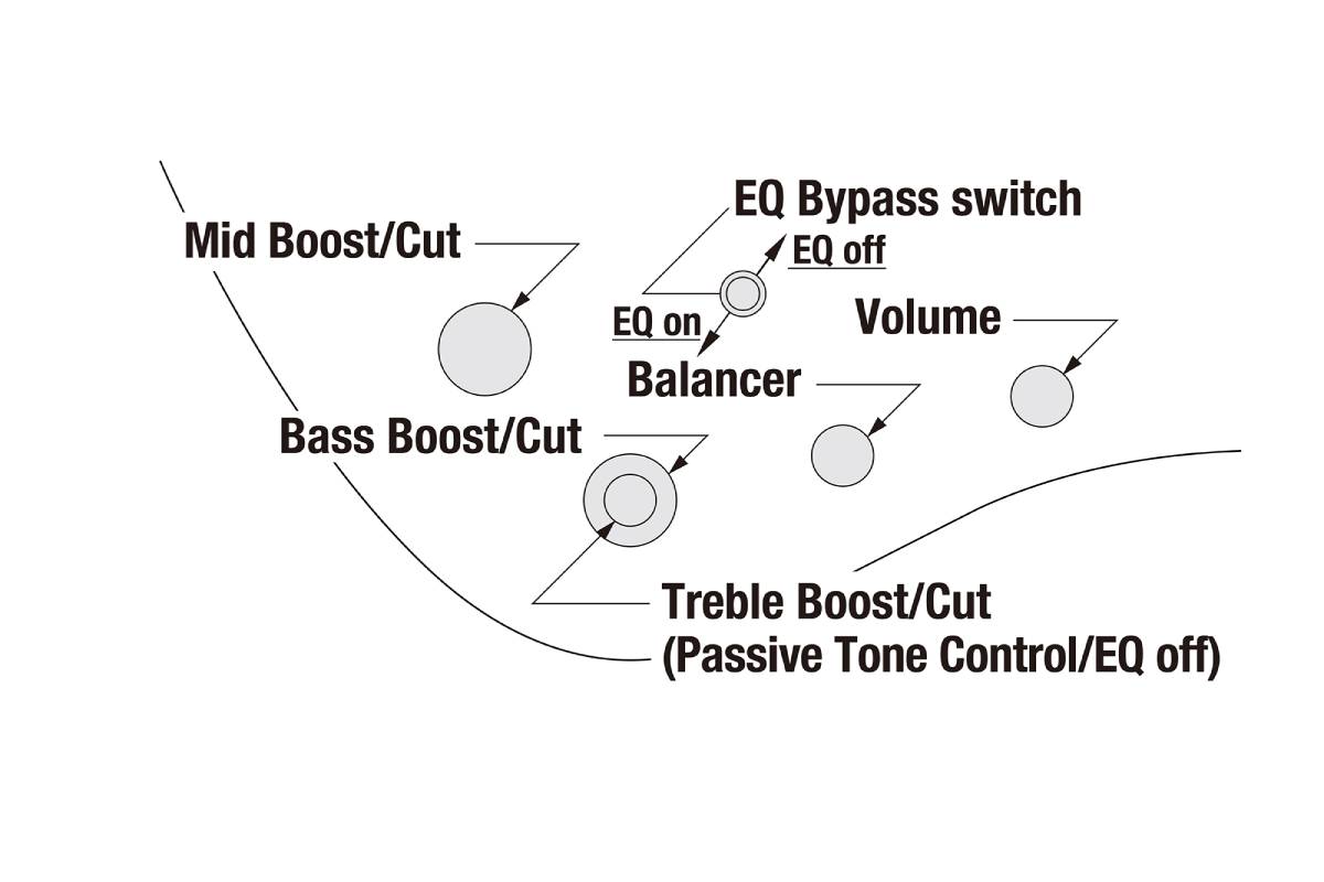 Бас-гітара IBANEZ EHB600-WNF