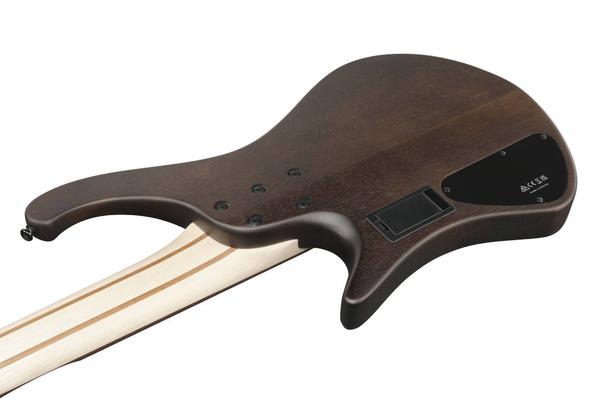 Бас-гитара IBANEZ EHB605-WNF