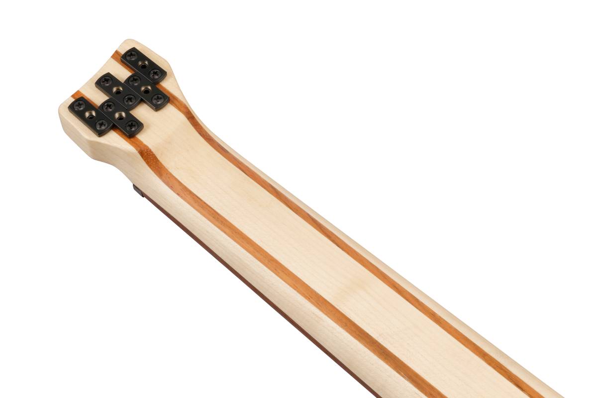 Бас-гитара IBANEZ EHB605-WNF