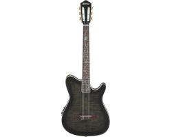 Гитара классическая IBANEZ TOD20FMN-BFL