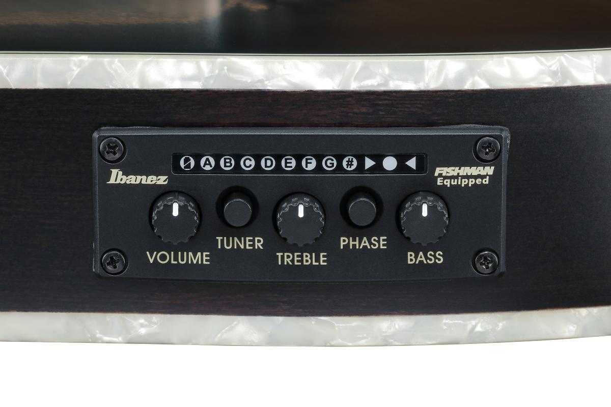 Гітара класична IBANEZ TOD20FMN-BFL