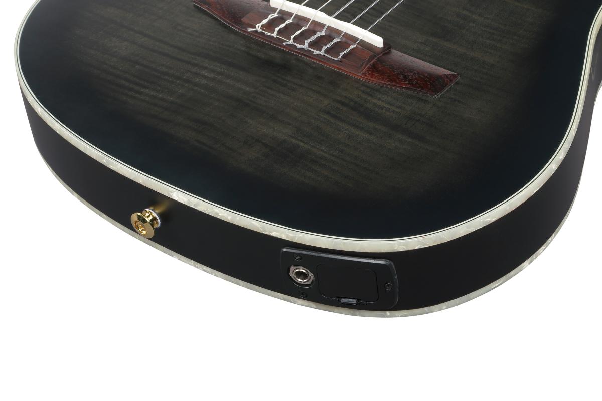 Гітара класична IBANEZ TOD20FMN-BFL