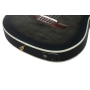 Гітара класична IBANEZ TOD20FMN-BFL