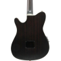 Гітара класична IBANEZ TOD20FMN-BFL
