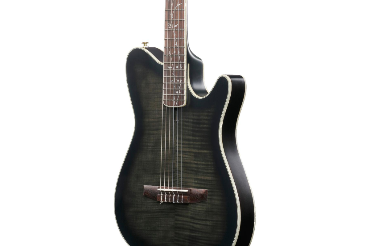 Гітара класична IBANEZ TOD20FMN-BFL