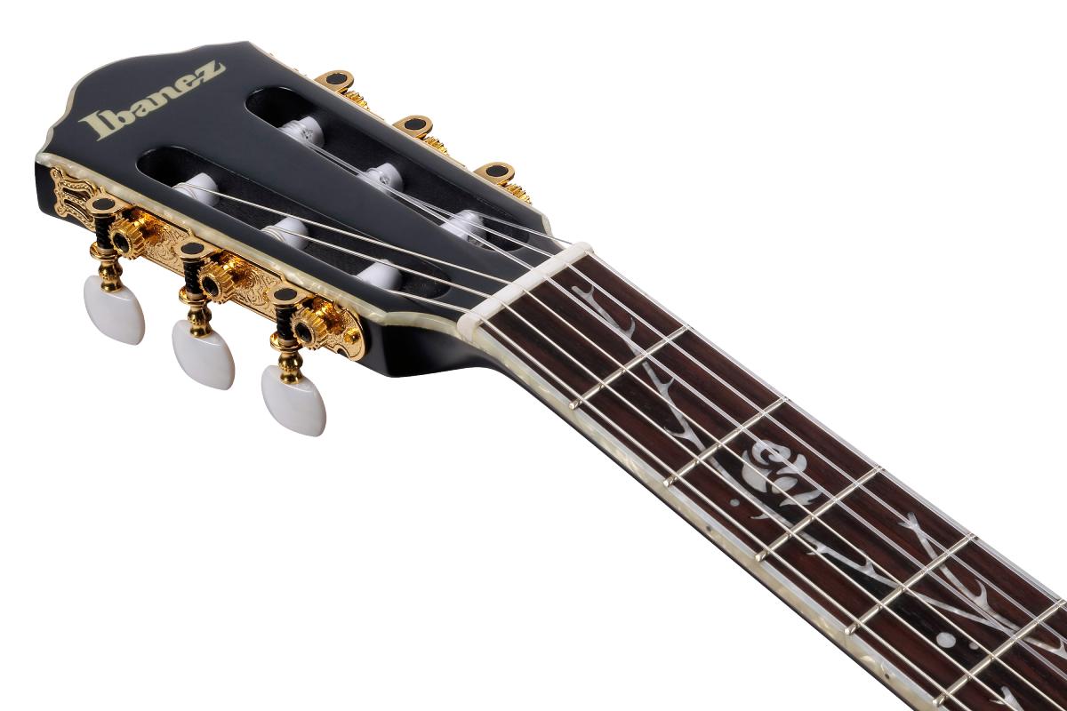Гітара класична IBANEZ TOD20FMN-BFL