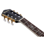 Гітара класична IBANEZ TOD20FMN-BFL
